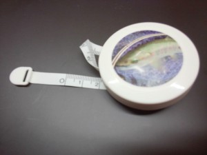 scale