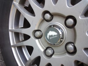 center cap plate1